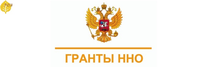 Итоги третьего в 2014 году конкурса президентских грантов